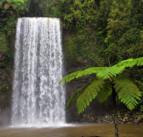 Yungaburra Atherton Tablelands and Surrounds